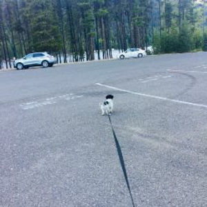 Meet your Posher, Aydc